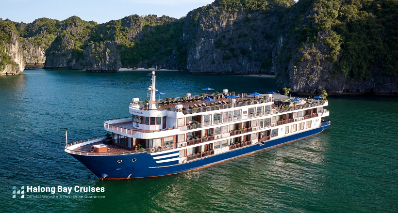 Erina Cruise